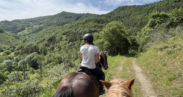 Balade à cheval sur un chemin dominant les collines verdoyantes