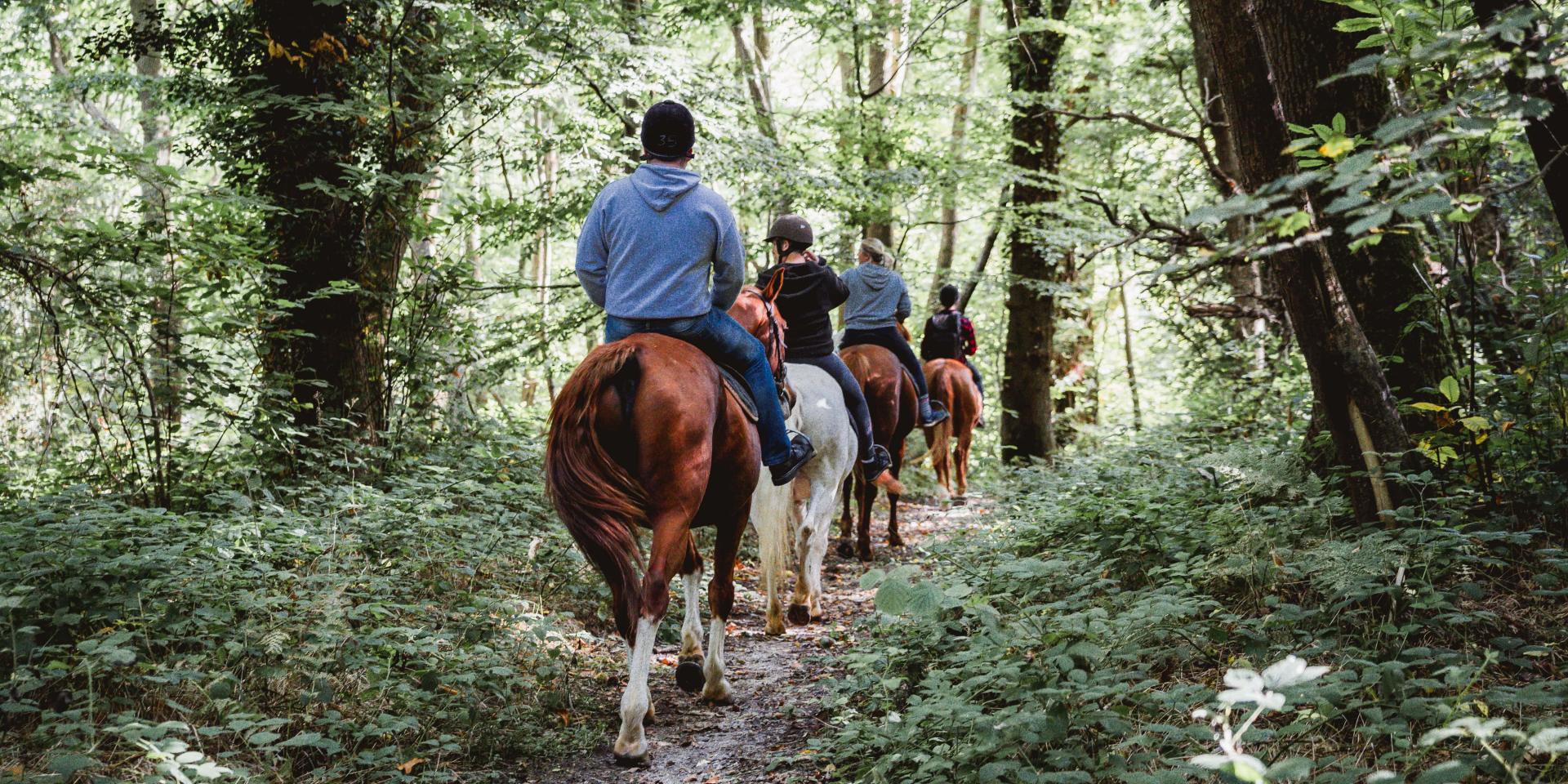 Groupe de cavaliers à cheval sur un sentier en forêt
