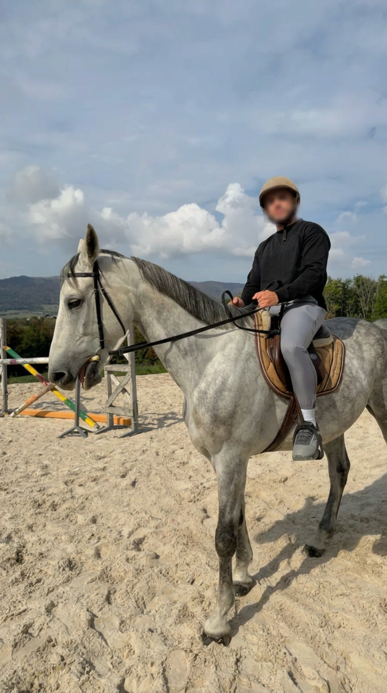 Client sur un cheval gris en carrière, visage flouté